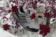 Copertina di Le scarpe Adidas di Game of Thrones arrivano a marzo: foto e prezzi
