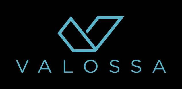 Clicca per vedere l'immagine originale Il logo originale di Valossa