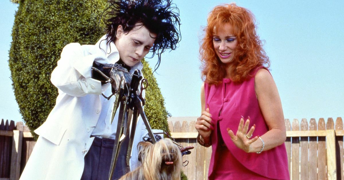 Il protagonista è impegnato ad accorciare il pelo al cane in una scena di Edward mani di forbice