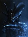 Copertina di Alien: Ridley Scott conferma di voler sempre meno Xenomorfi