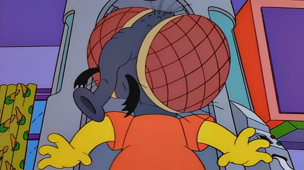 Ο Μπαρτ μεταμορφώνεται σε μύγα στο επεισόδιο 9x04 των Simpsons.