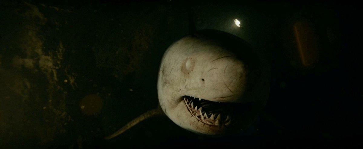 Ο καρχαρίας από την ταινία 47 μέτρα - Uncaged