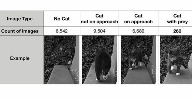 Varie immagini del database della porta per gatti automatica rileva prede
