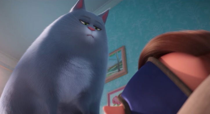 Clicca per vedere l'immagine originale gatta Chloe