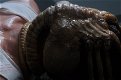 Alien: la recensione per i 40 anni del film