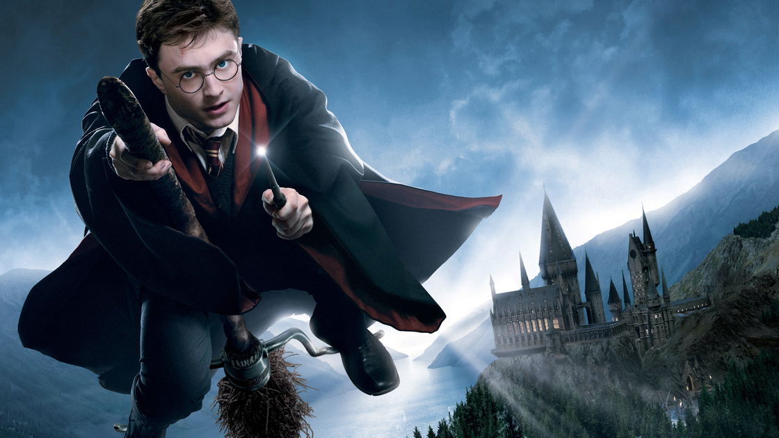 Copertina di Il punto di vista su Harry Potter che ce lo mostra come un figlio di papà