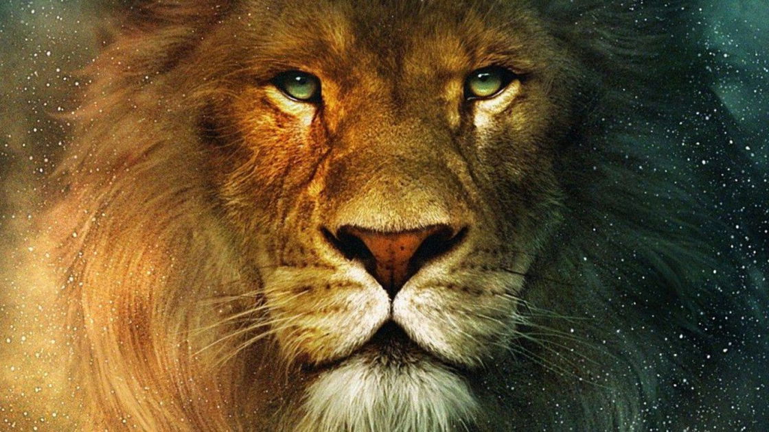 Copertina di Le cronache di Narnia - La sedia d'argento: l'inizio delle riprese e tutte le novità sul film