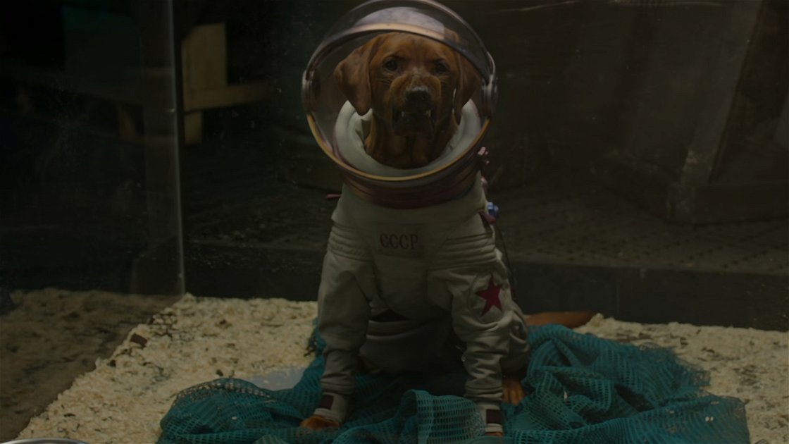 Copertina di Chi è Cosmo, il cane che compare in Guardiani della Galassia?