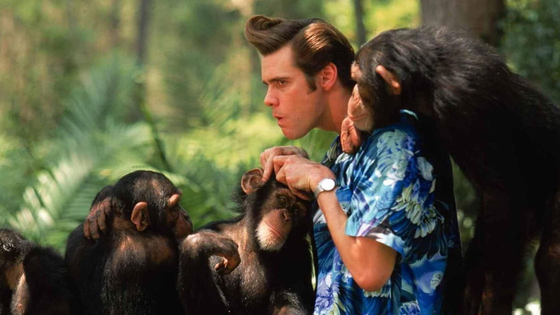 Copertina di Ace ventura 3, Evan Peters sarà il figlio dell'acchiappa-animali?