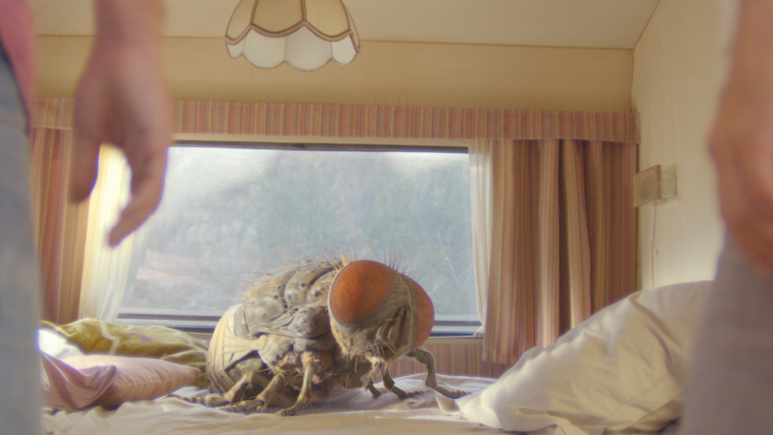 Copertina di Il ronzio della mosca gigante: la recensione di Mandibules, il film più folle (e riuscito) di Venezia 77