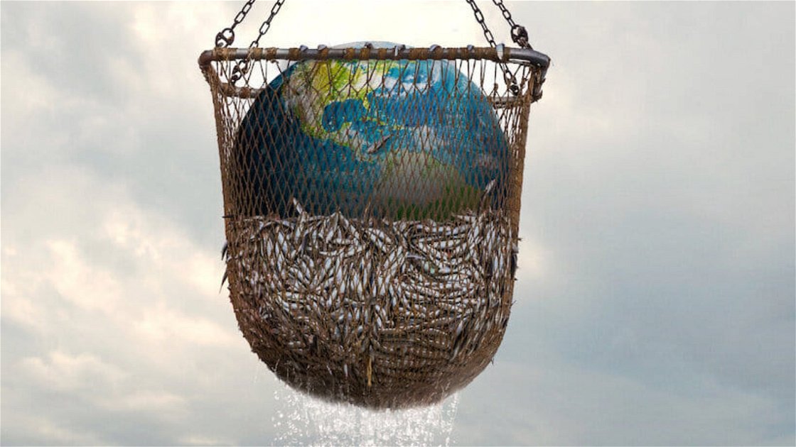 Copertina di Seaspiracy: l'impatto negativo della pesca sull'ambiente nel docufilm del creatore di Cowspiracy