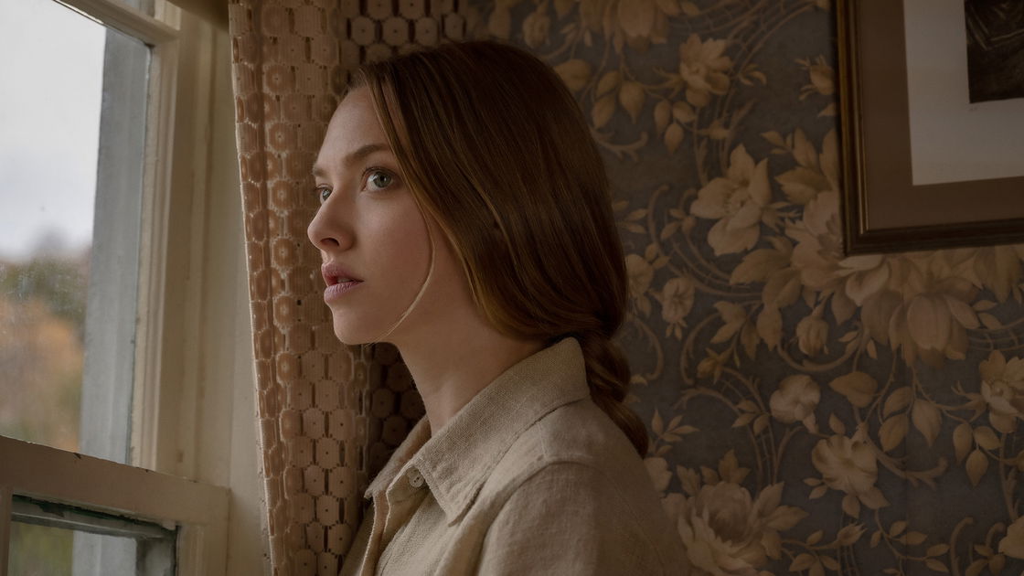 Copertina di L'apparenza delle cose: il finale e la spiegazione del thriller Netflix con Amanda Seyfried