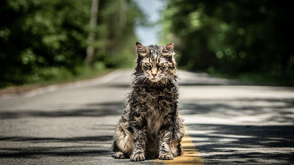 Copertina di Pet Sematary: i registi spiegano il perché dei cambiamenti al libro di Stephen King