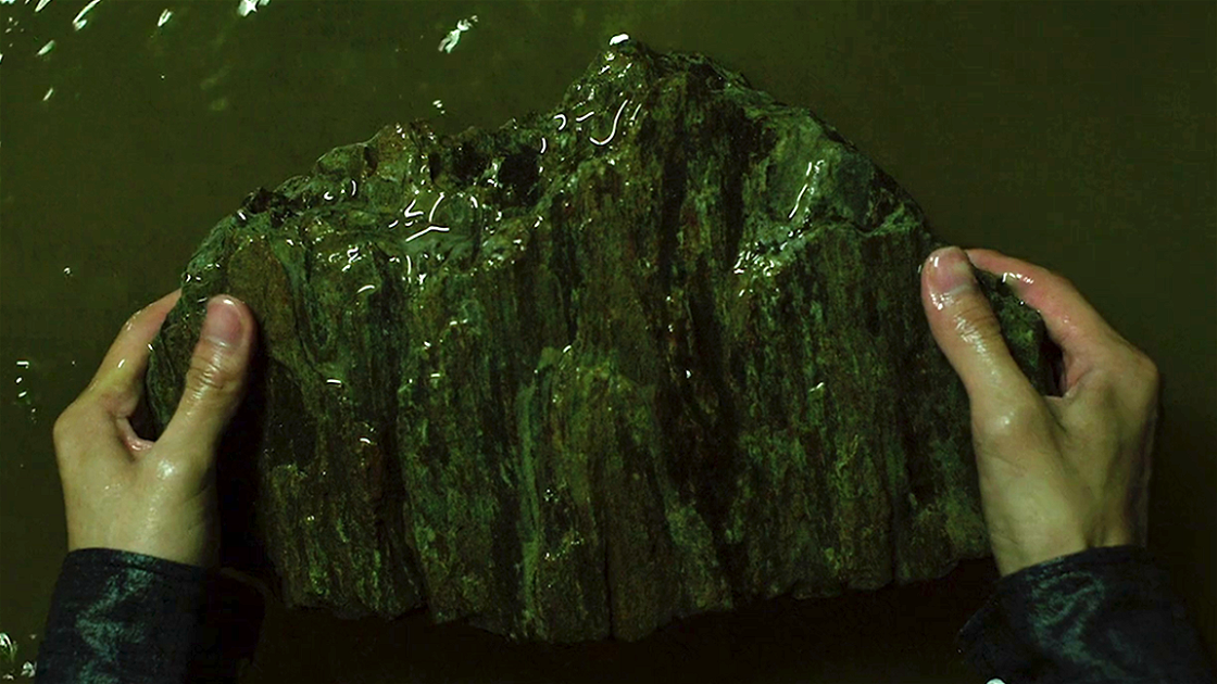 Copertina di La pietra di Parasite: cos’è, che significato ha nel film e cosa ne pensa Bong Joon-ho a riguardo