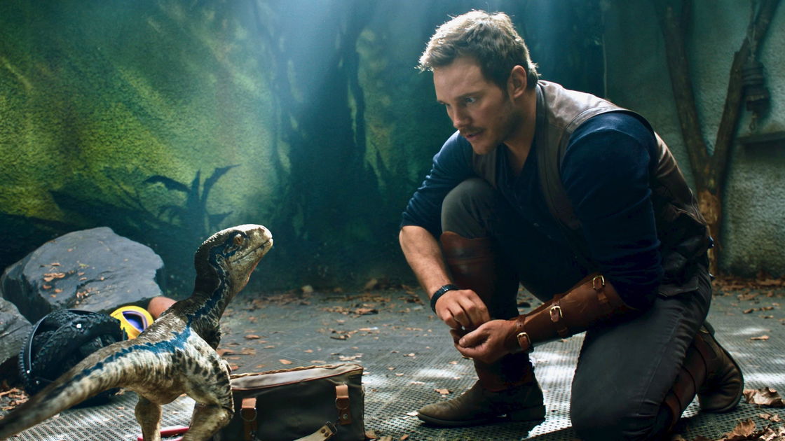 Copertina di Cos'è successo al Velociraptor Blue dopo Jurassic World – Il regno distrutto?