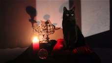 Copertina di Sì: Salem sarà nel reboot di Sabrina; un primo sguardo al gatto-strega