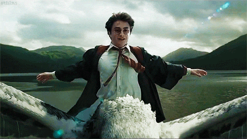 Copertina di Auguri Harry Potter, è nato oggi il mago più famoso del mondo