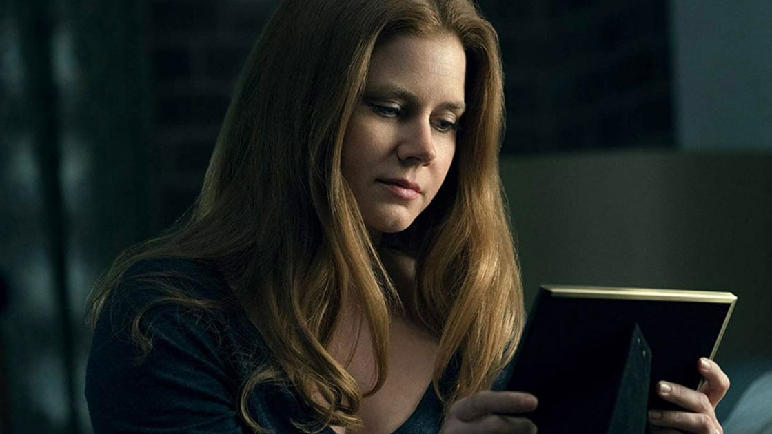 Copertina di La donna alla finestra: cosa sappiamo del thriller su Netflix con Amy Adams, Anthony Mackie e Gary Oldman