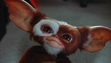 Copertina di Gremlins 3: Zach Galligan parla del sequel e svela nuovi dettagli