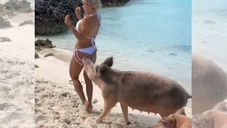 Copertina di Michelle Lewin, la modella morsa da un maiale durante un photoshoot [VIDEO]