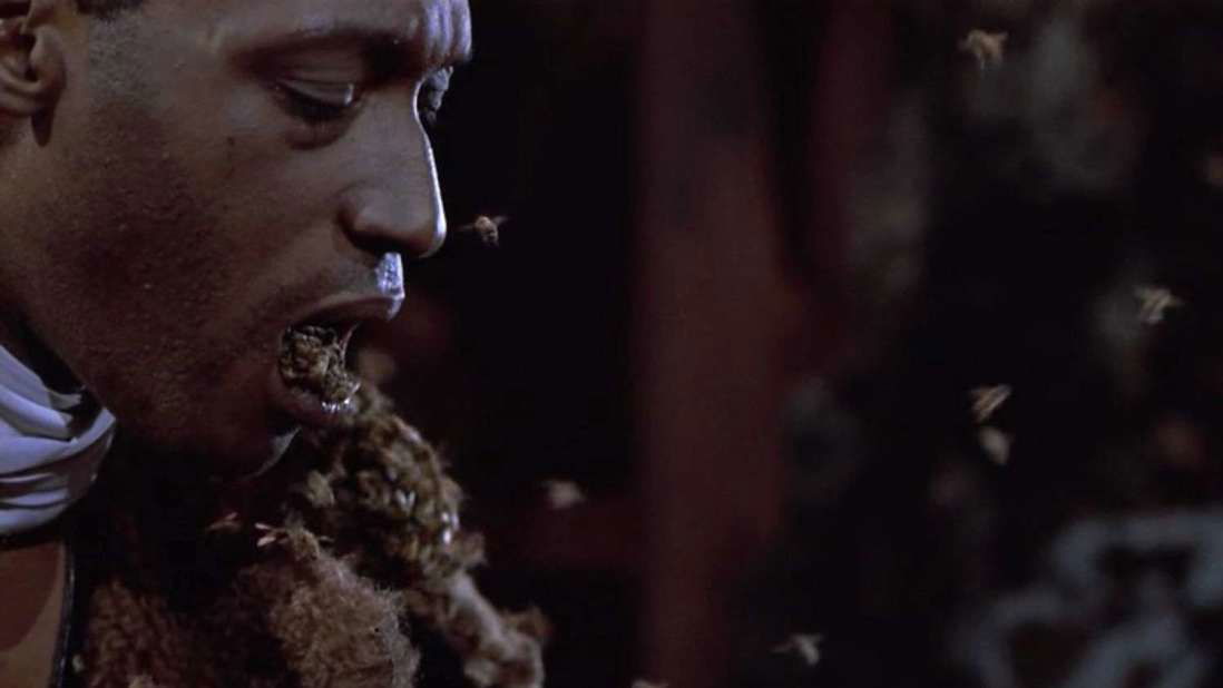 Copertina di Tony Todd vuole un ruolo nel remake di Candyman