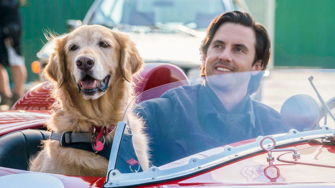 Copertina di Attraverso i miei occhi: le migliori citazioni del film con Milo Ventimiglia