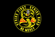 Cover of The Cobra Kai motto: philosophy and meaning of the Law of the Fist