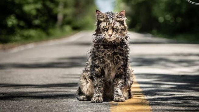 Copertina di Il produttore di Pet Sematary parla già di un possibile sequel (anzi, di un prequel!)