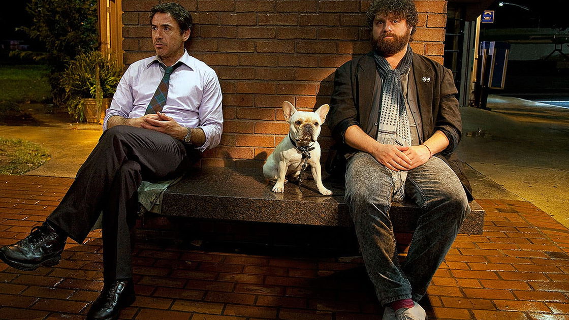 Copertina di Parto col folle: 10 divertenti curiosità sul film con Robert Downey Jr.