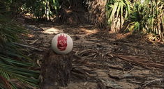 Copertina di No, Tom Hanks non è in quarantena con Wilson di Cast Away