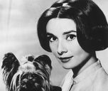 Copertina di Colazione da Tiffany, la canzone Moon River e i suoi segreti