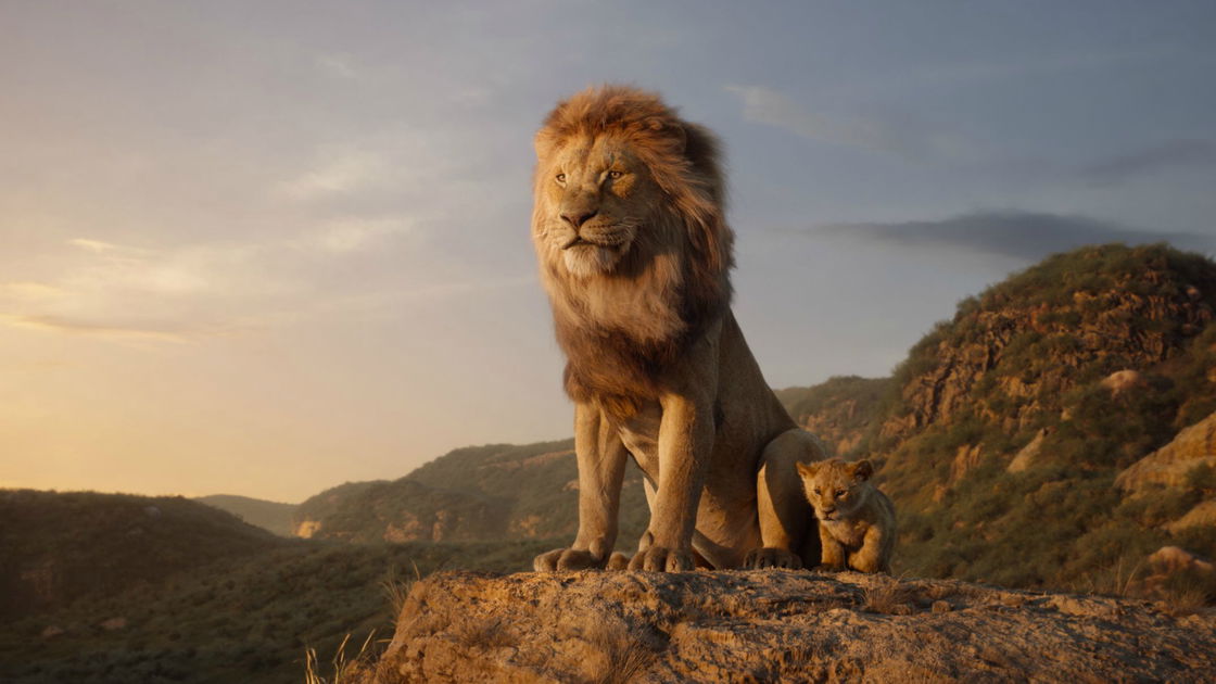 Copertina di Il Re Leone raggiunge un importante traguardo al botteghino USA (e azzanna anche in Italia)