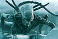 Alien, un nuovo film per l'evoluzione della saga: parla Ridley Scott