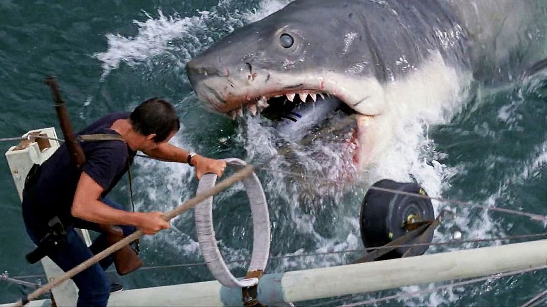 Copertina di Lo Squalo, ecco la scena (davvero cruenta) cancellata dal film
