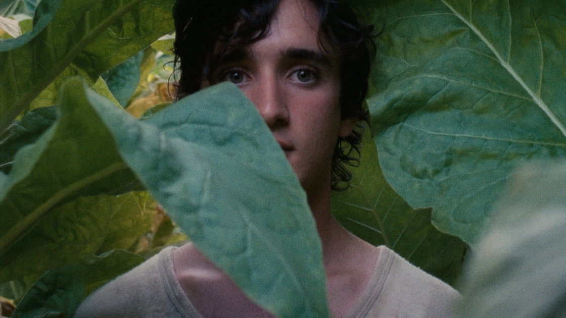 Copertina di Lazzaro felice, la recensione: il tocco fatato di Alice Rohrwacher si misura coi maestri italiani
