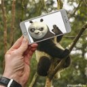 Copertina di L'instagrammer che trasforma il selfie in cartone animato