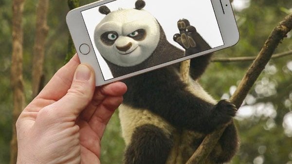 Copertina di L'instagrammer che trasforma il selfie in cartone animato