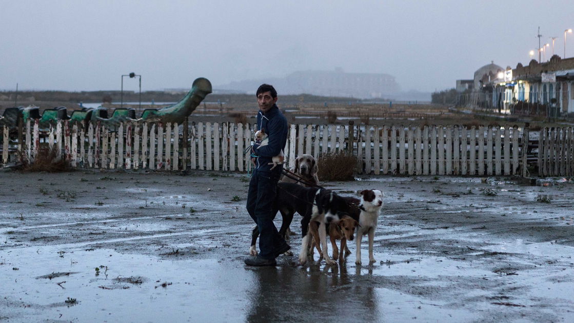 Copertina di Dogman, la recensione: il riscatto di un debole nel film di Matteo Garrone