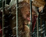 Copertina di Horror di Natale: 13 film da vedere per rendere orribili le tue Feste