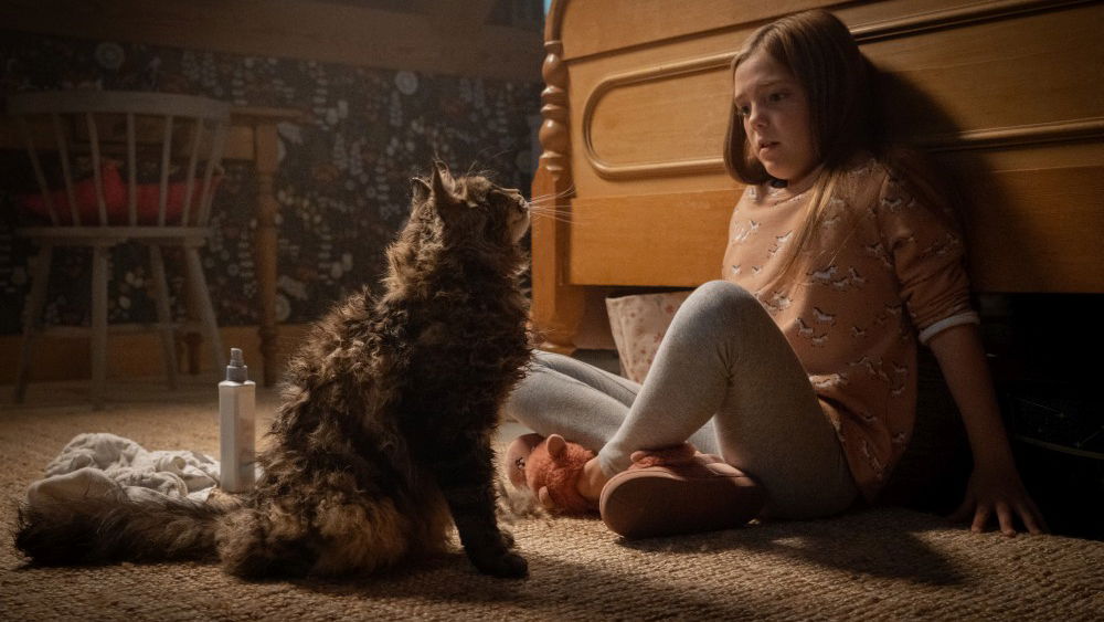 Copertina di Pet Sematary, la recensione: tanto horror contemporaneo, poco King