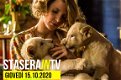 I 10 film da vedere questa sera in TV: gli imperdibili sono End of Justice - Nessuno è innocente su Rai 3 e La signora dello zoo di Varsavia su  Premium Cinema 2