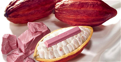 Copertina di Il Kit Kat al cioccolato rosa è realtà