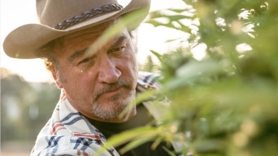 Copertina di Jim Belushi ha una piantagione di cannabis (guardate le foto su Instagram!)