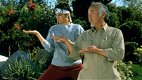 Karate Kid: tutti i film, le serie TV e gli altri progetti della saga