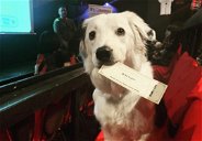 Copertina di In Texas c'è un cinema dedicato ai cani, che serve anche vino gratis