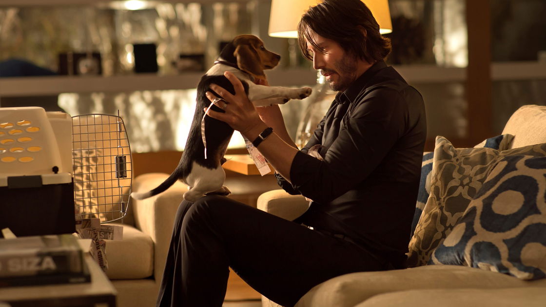 Copertina di John Wick: ai registi era stato detto di non uccidere il cane (ma così non è stato)