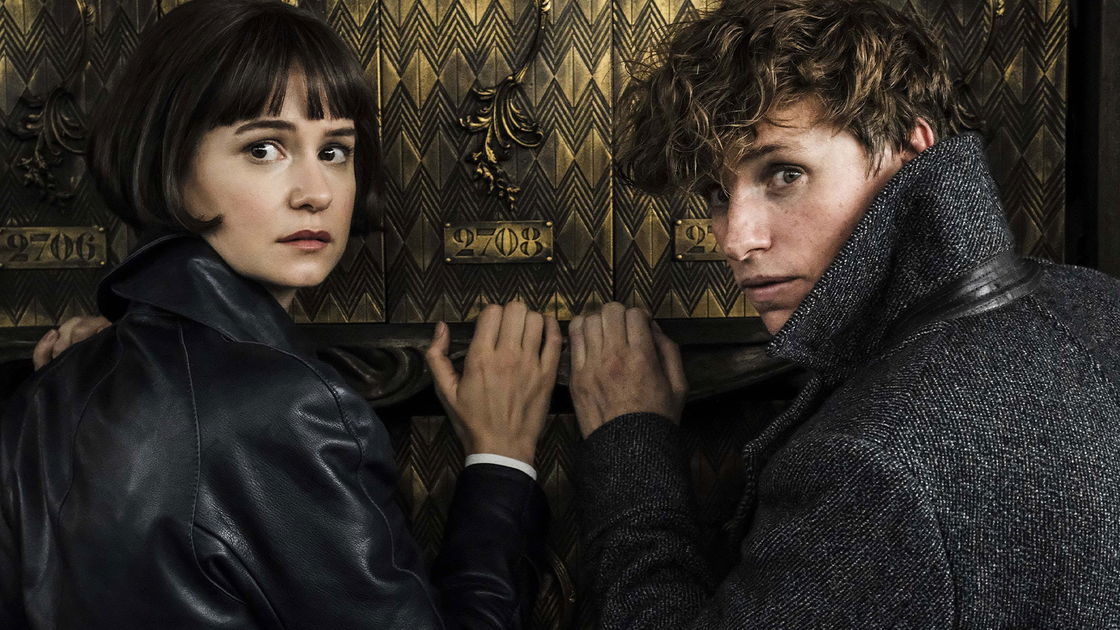 Copertina di Animali Fantastici: David Yates potrebbe dirigere tutti i film della serie