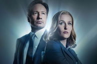 Copertina di David Duchovny non credeva in X-Files: all'inizio voleva rifiutare il ruolo di Fox Mulder