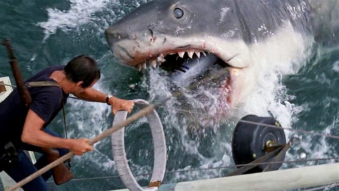 Copertina di 5 curiosità su Bruce, lo squalo meccanico del film di Spielberg