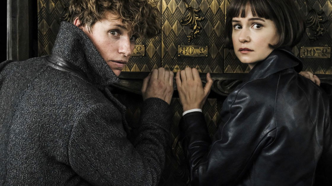 Copertina di Chi potrebbe scrivere i film di Animali fantastici 3 al posto di J.K. Rowling?
